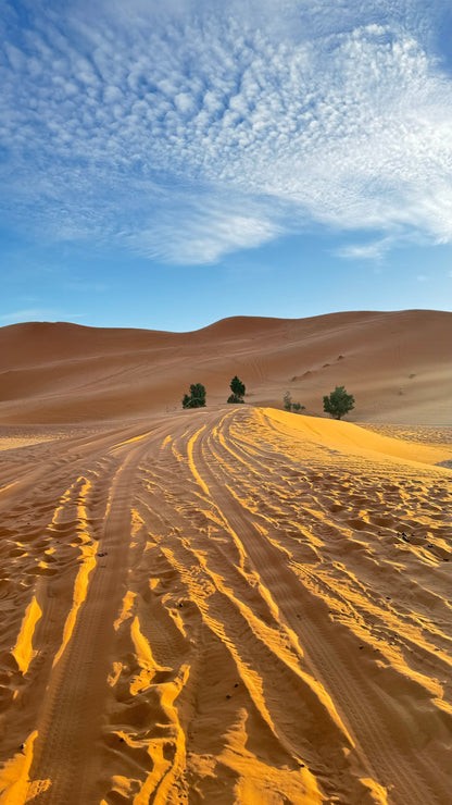 5 días Marrakech y desierto de Merzouga - Desde 229 euros (Premium)